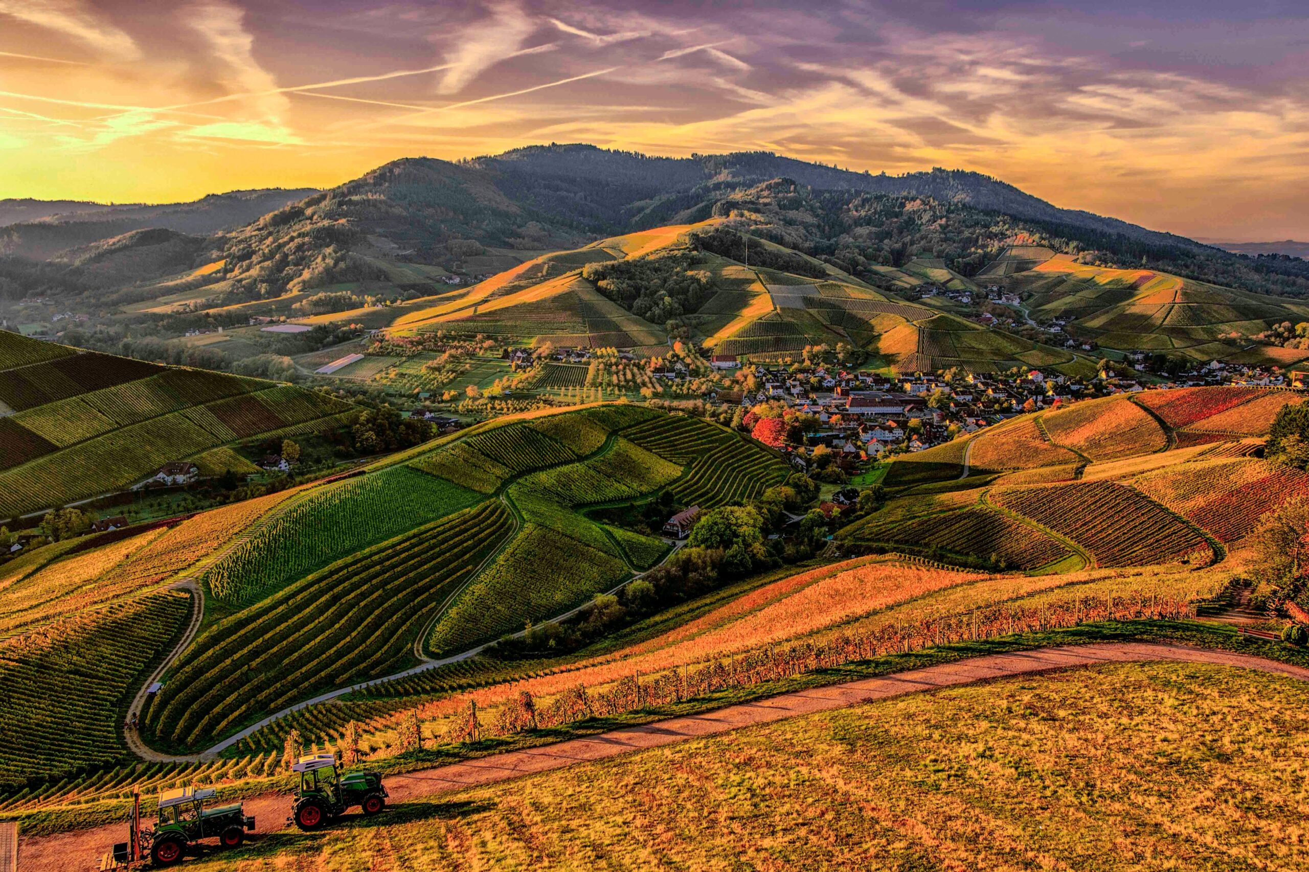 Scenic view of rolling hills, vineyards, and tractors at sunset, perfect for nature lovers.